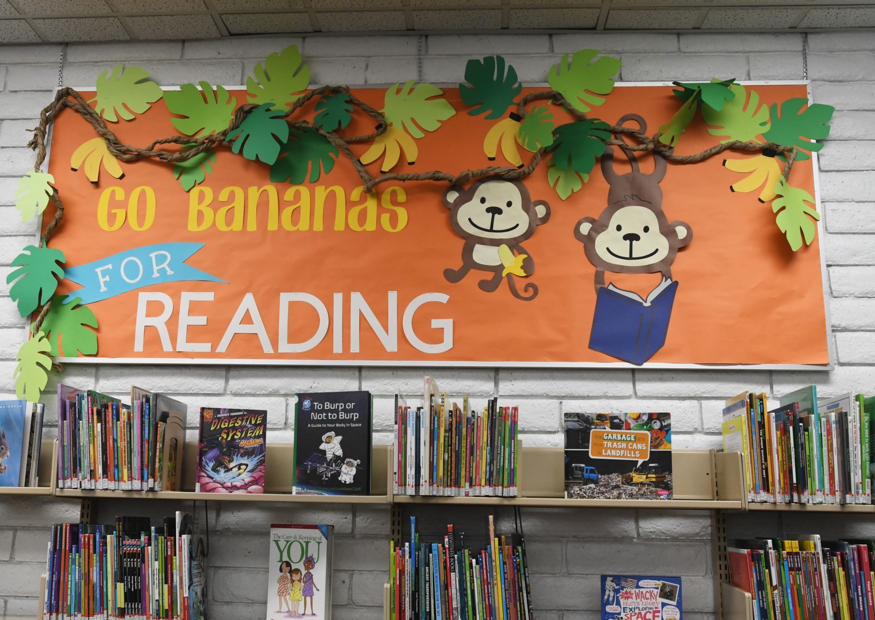 Reading is Fun